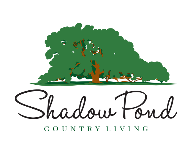 Shadow Pond