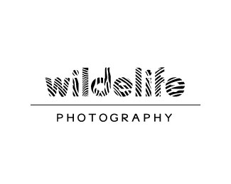 wildelife photography -2009