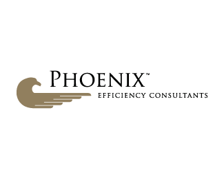Pheonix Efficiency Consultants