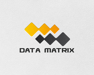 Data Matrix