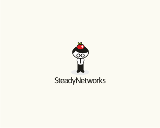 SteadyNetworks