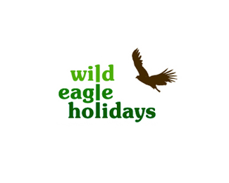 wild eagle holidays