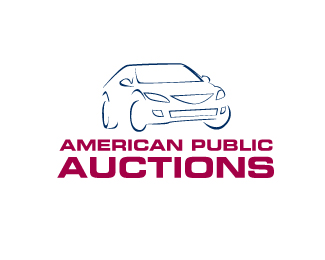 American Public Auctions