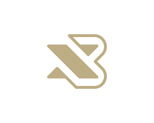 Stylish B X Monogram