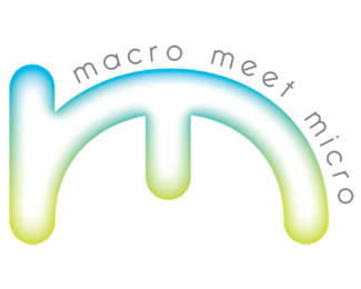 macro meet micro