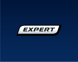 Expert 5
