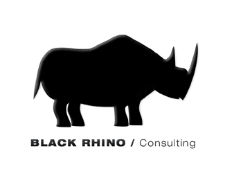 black rhino consulting
