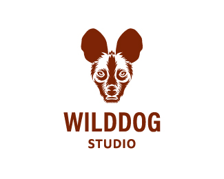 Wilddog Studio