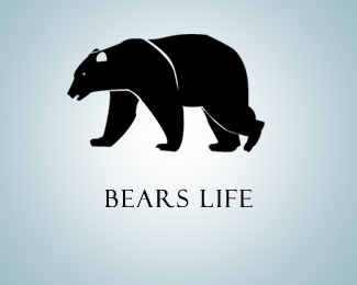 bears Life