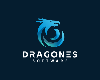 Dragones software concept #1