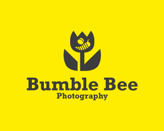 Bumble_Bee_Photography