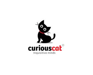 curious cat 2