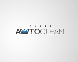 Elite Auto Clean