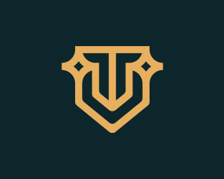 Letter Tv Or Vt Star Logo