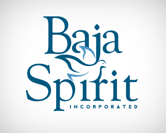 Baja Spirit