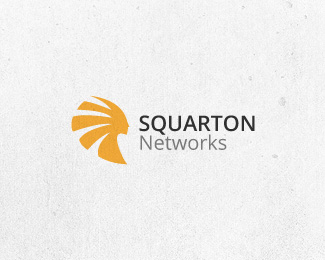 Squarton Networks 1