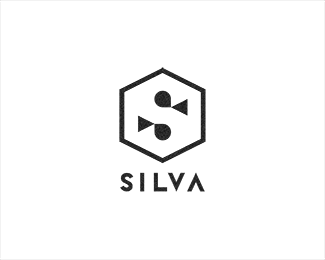 Silva - Developer