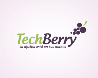 TechBerry
