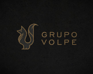 Grupo Volpe V1