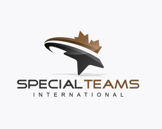 Special Teams International