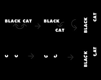 BLACK CAT (evolution)