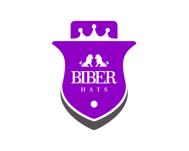 Logo Biber Ahts