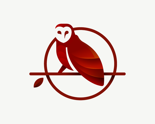 Barn Owl