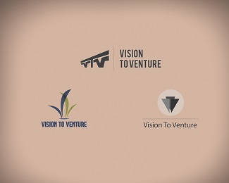 Vision To Venture
