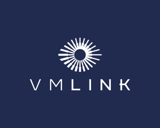 VMlink