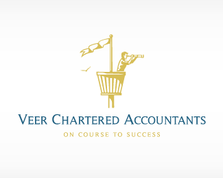Veer Chartered Accountants