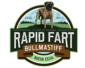 RapidFart Bullmastiff