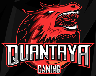Quantaya Gaming