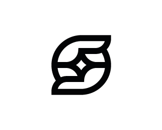 Letter S Star Logo