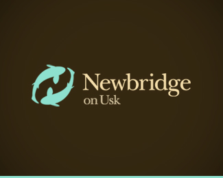 The Newbridge on Usk