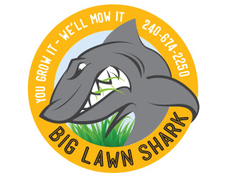 Big Lawn Shark