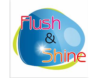 Flush and shine Brand Design