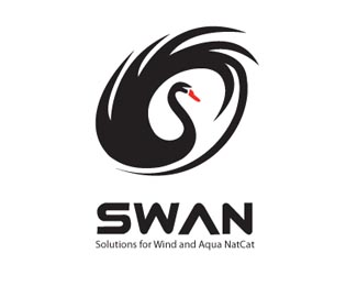 Black Swan_ Typhoon Research Company