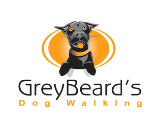 Gray Beard Dog