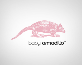 Baby Armadillo