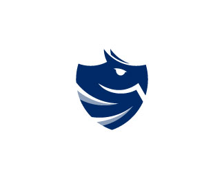 Dragon Shield For Sale