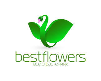 bestflowers