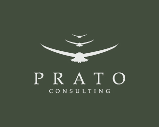 Prato Consulting