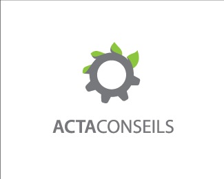ACTA CONSEILS