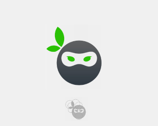 Organic Ninja Logo
