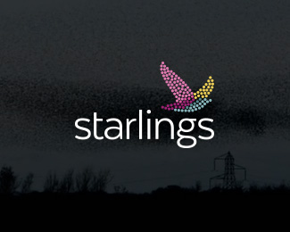 Starlings #5