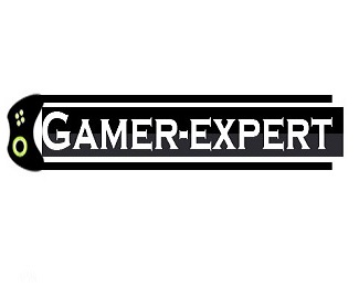 Gamer-expert
