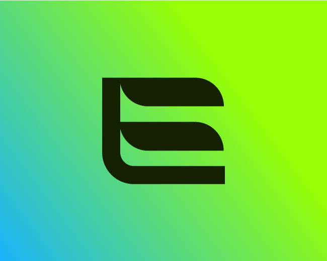 Letter E - Finance Logo Design