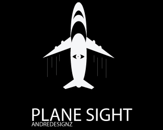 Plane Sight