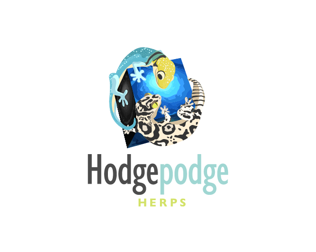 Logo design for Hodgepodge