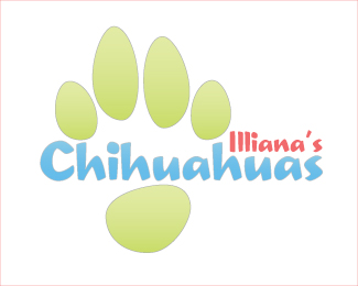 Illiana's Chihuahuas #2